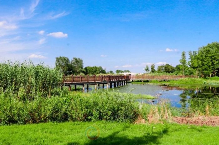 ʪ����̬���������뻭��