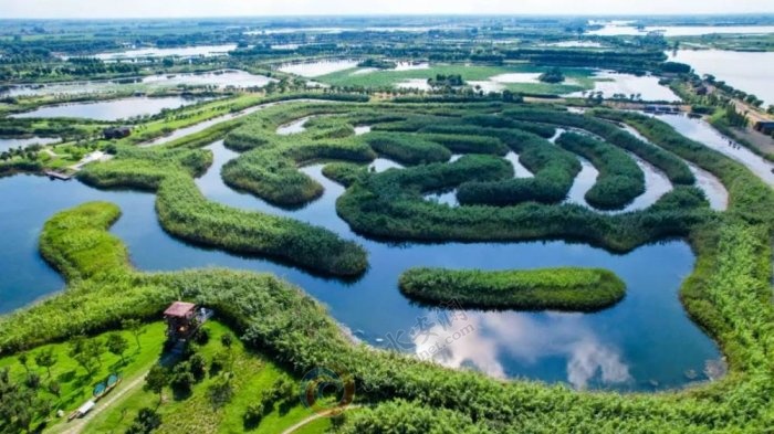 ʪ����̬���������뻭��