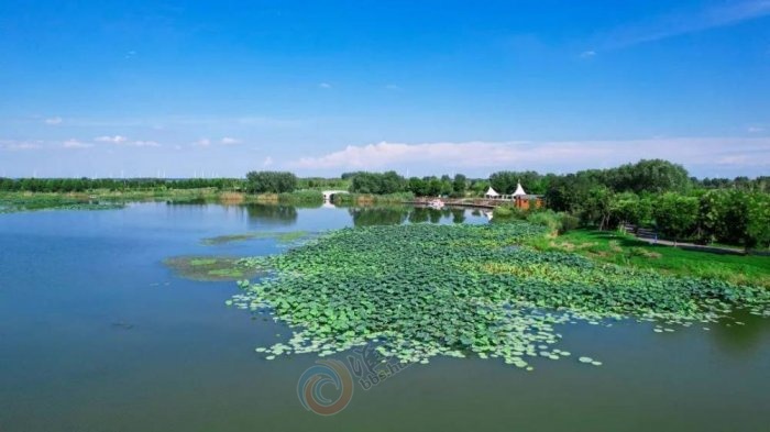 ʪ����̬���������뻭��