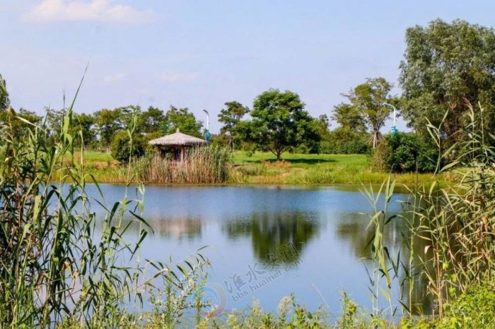 ʪ����̬���������뻭��