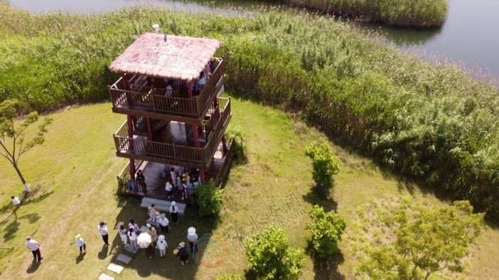 ʪ����̬���������뻭��