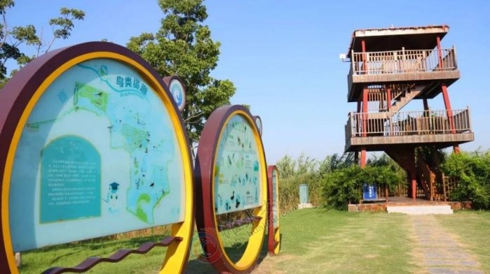 ʪ����̬���������뻭��